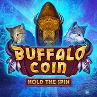 Buffalo Coin Hold The Spin game icon
